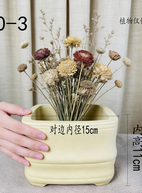 宜兴紫砂新品黄色素面小花盆高档马槽多肉盆栽绿植盆景菖蒲包邮