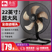骆驼电风扇强力大功率工业风扇落地扇工厂台式电扇商用摇头趴地扇