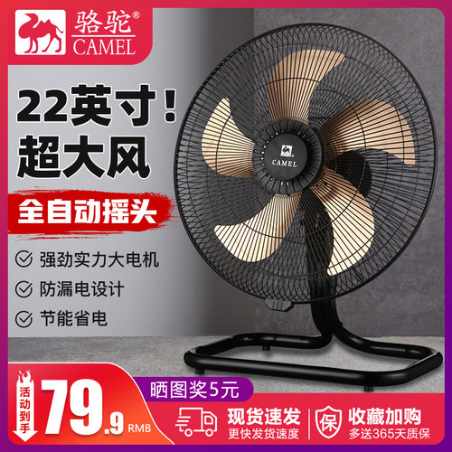 骆驼旋钮摇头趴地扇大尺寸