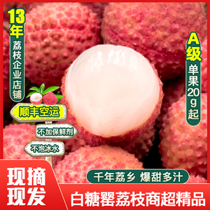 桂味顺丰不泡水圈枝老树采摘