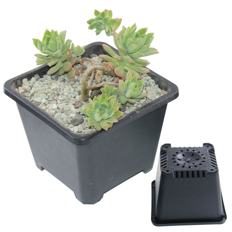 老桩盆栽种植简约塑料方形黑方