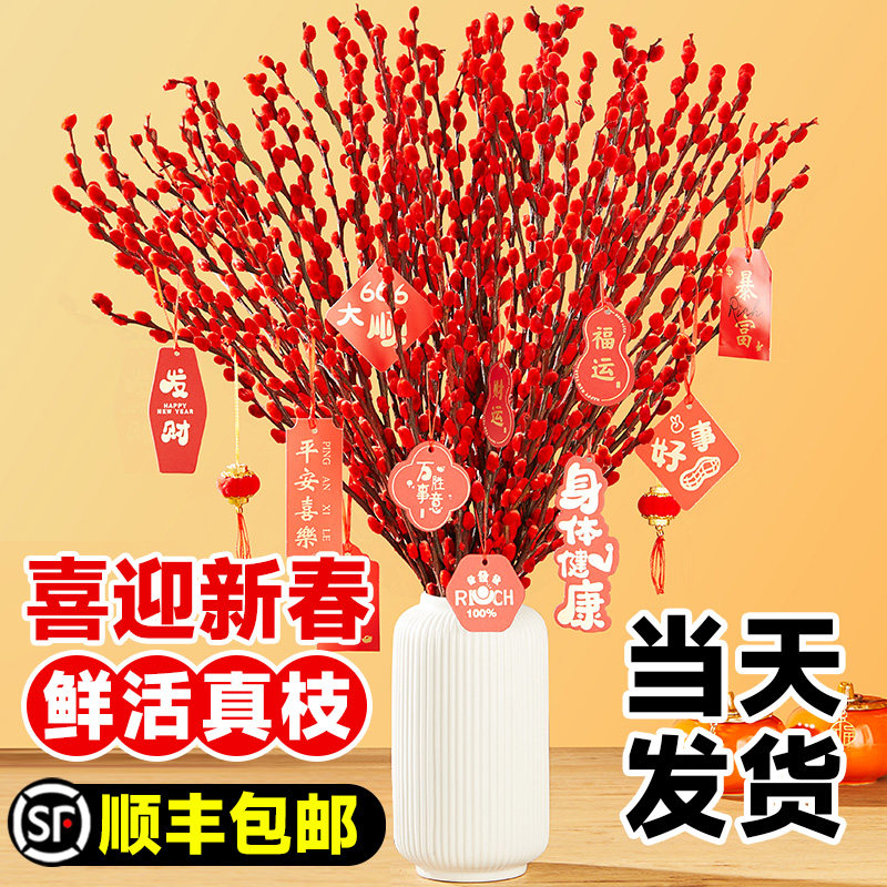 银柳真花鲜枝干花花束鲜花红色花卉植物客厅摆件批发花好养活四季,鲜花速递/花卉仿真/绿植园艺,时令草本花卉,淘宝优惠券,粉丝福利购,淘宝优惠卷