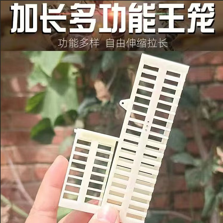 塑料王笼加长款囚王笼多功能蜜蜂王笼中蜂意蜂蜂王储王器王笼养蜂