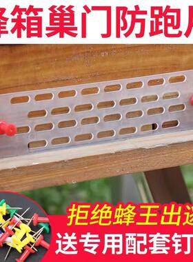 中蜂防跑片塑料防逃框蜂王防逃片蜂箱巢门蜜蜂隔王板防逃框养蜂