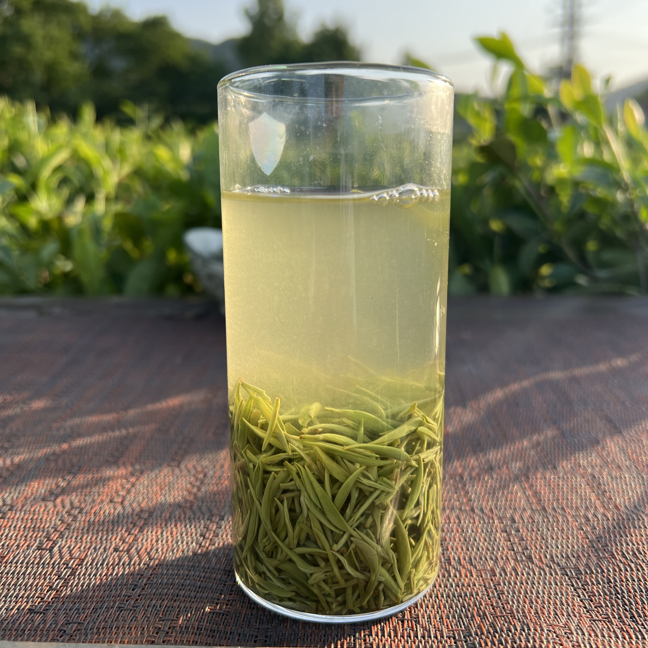 绿茶信阳毛尖2024新茶明前茶特级小芽春茶浉河港大山茶