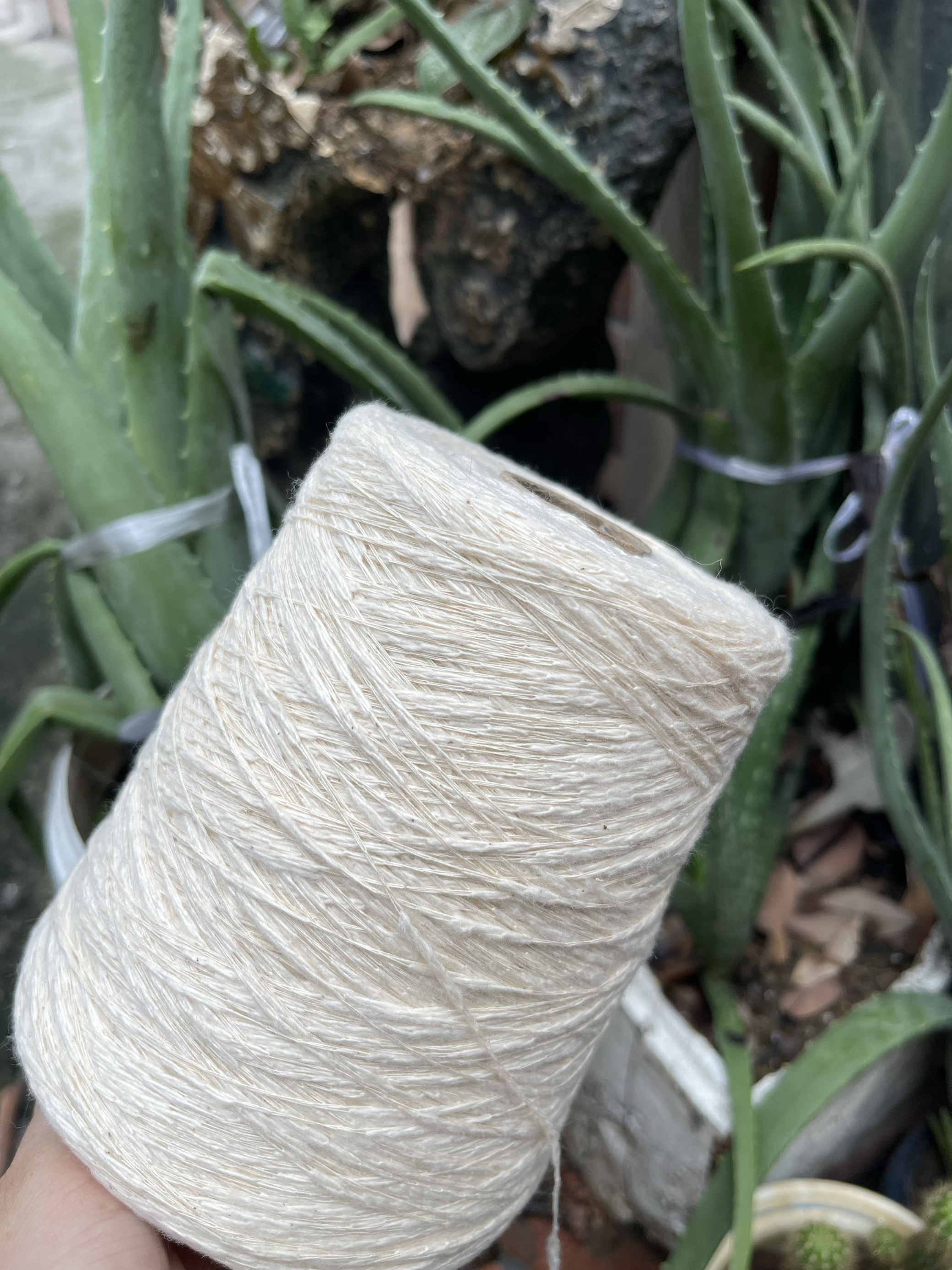 标价1斤 特色纯棉原白色大肚豆豆纱 100%棉链条特种线 柔软不扎