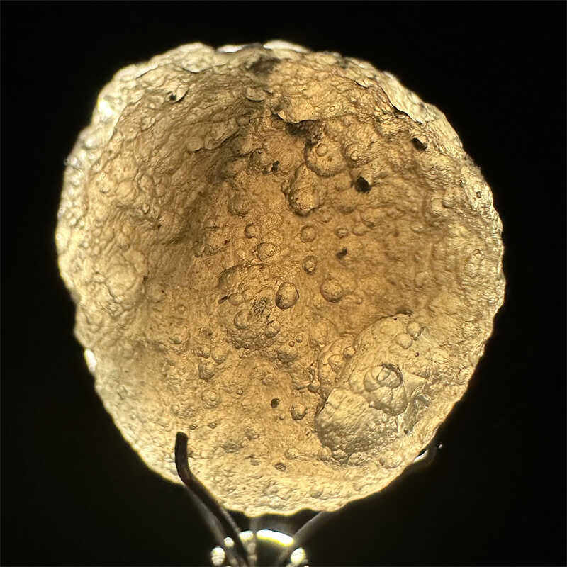 美国天然亚利桑那玻璃陨石原矿 Cintamani如意宝珠天狼星陨石吊坠