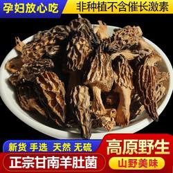 甘肃甘南野生羊肚菌农家自产特产级无硫新货煲汤煮肉食用菌干蘑菇