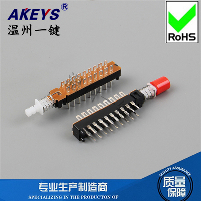 双排带锁无支架有孔按键开关