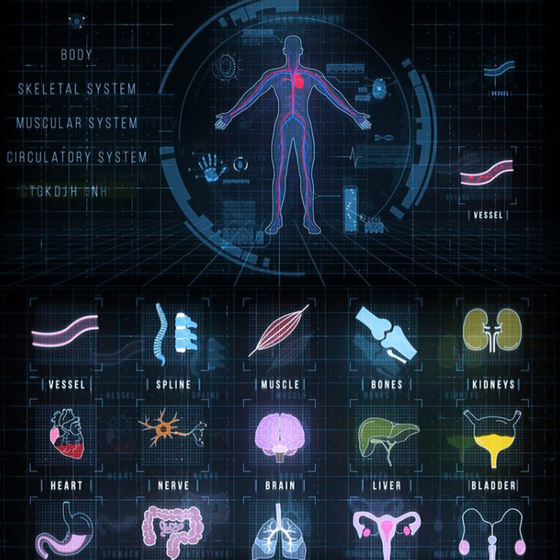 AE模板200组未来高科技感人物人体医疗HUD元素UI虚拟界面骨骼动画