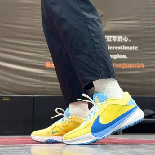 Nike耐克Zoom Freak 5 字母哥5代男子低帮实战篮球鞋鞋DX4996-700