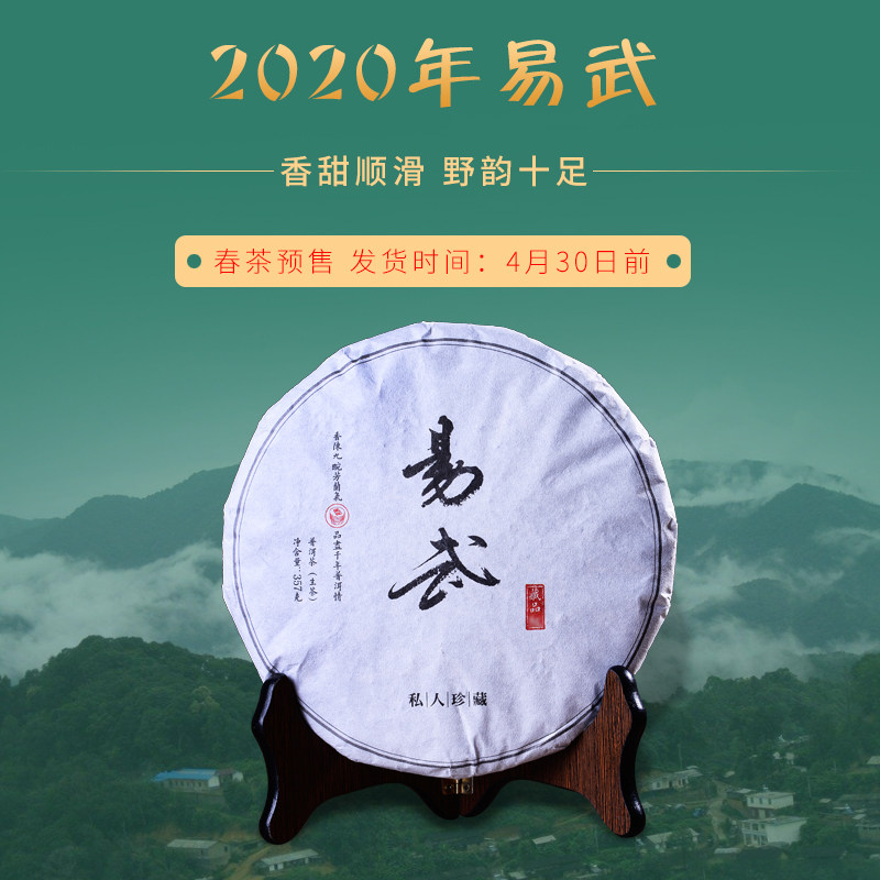 2020春茶易武 普洱茶生茶饼茶 珍藏易武乔木大树生茶 云南七子饼