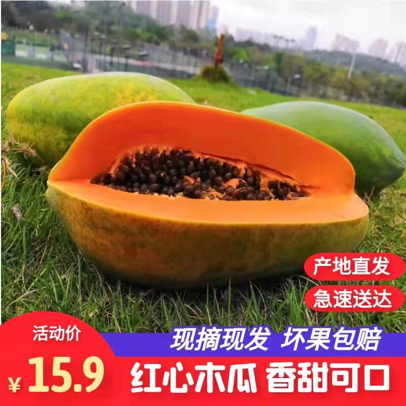 广西冰糖红心木瓜5斤新鲜当季热带水果木瓜海南木瓜包邮包甜香甜