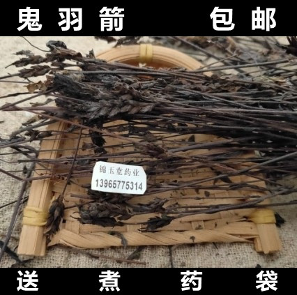 中药材黑马草 野生鬼羽箭草 新货黑骨草 中草药鬼羽箭250克包邮