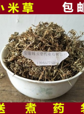 小米草新货 中药材 野生小米草 芒小米草 小米草，500克 包邮