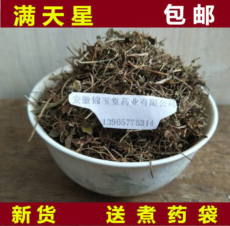 满天星野生中药材天胡荽