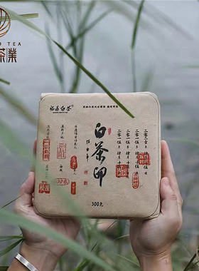九淘茶集福鼎白茶印2015原料陈茶方砖松压寿眉枣香茶叶简易装300g