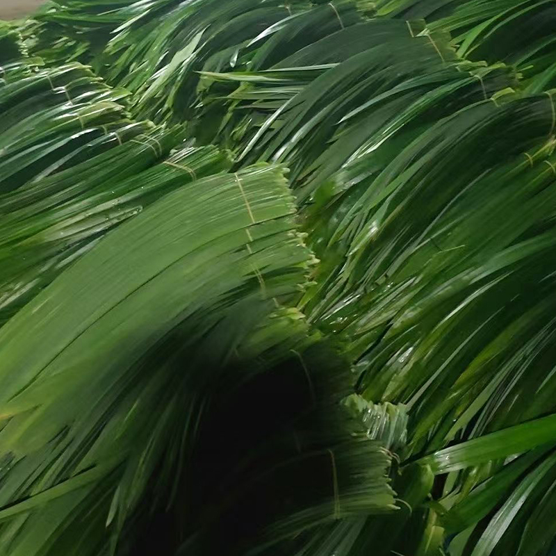 海南斑斓叶烘焙原料东南亚风味