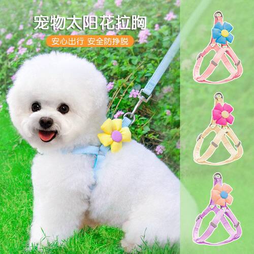 狗狗牵引绳小型犬胸背带可爱夏季宠物猫咪外出遛猫遛狗绳泰迪比熊