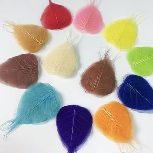 菩提叶 树叶画叶子 diy叶子画 干树叶 手工贴画 装饰画 天然叶脉