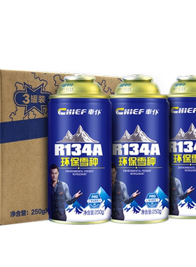 车仆汽车雪种强效制冷