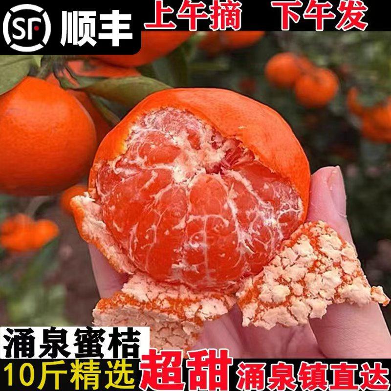 正宗临海涌泉蜜桔10斤黄岩蜜橘当季新鲜现摘孕妇水果整箱无核橘子