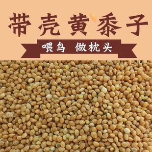 鸟食黄糜子黄黍子带壳大黄米1件5斤饲料中小型鹦鹉虎皮牡丹玄凤