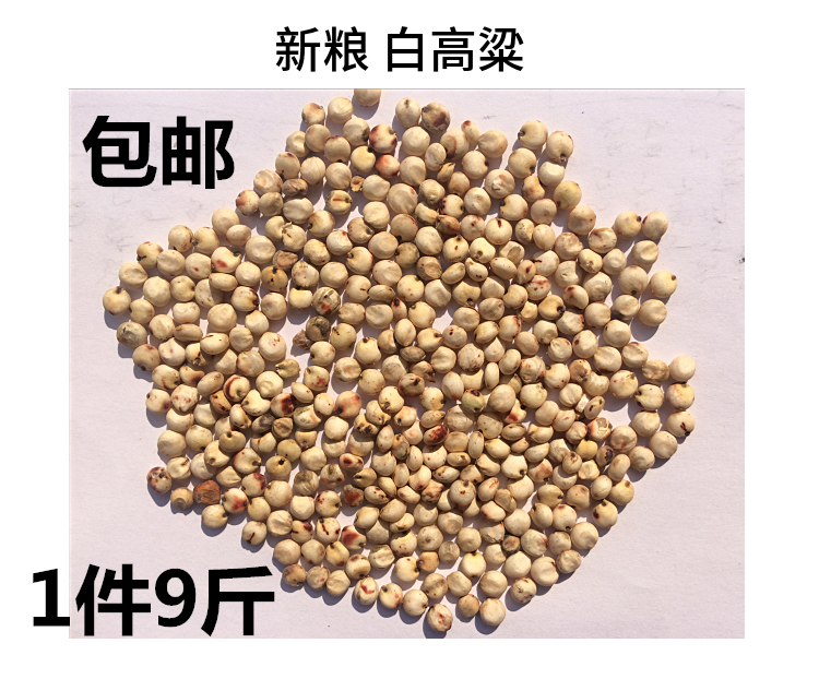 美顿宝鸽粮高粱米新粮白高粱鸽粮1件9斤包邮饲料观赏鸽斑鸠