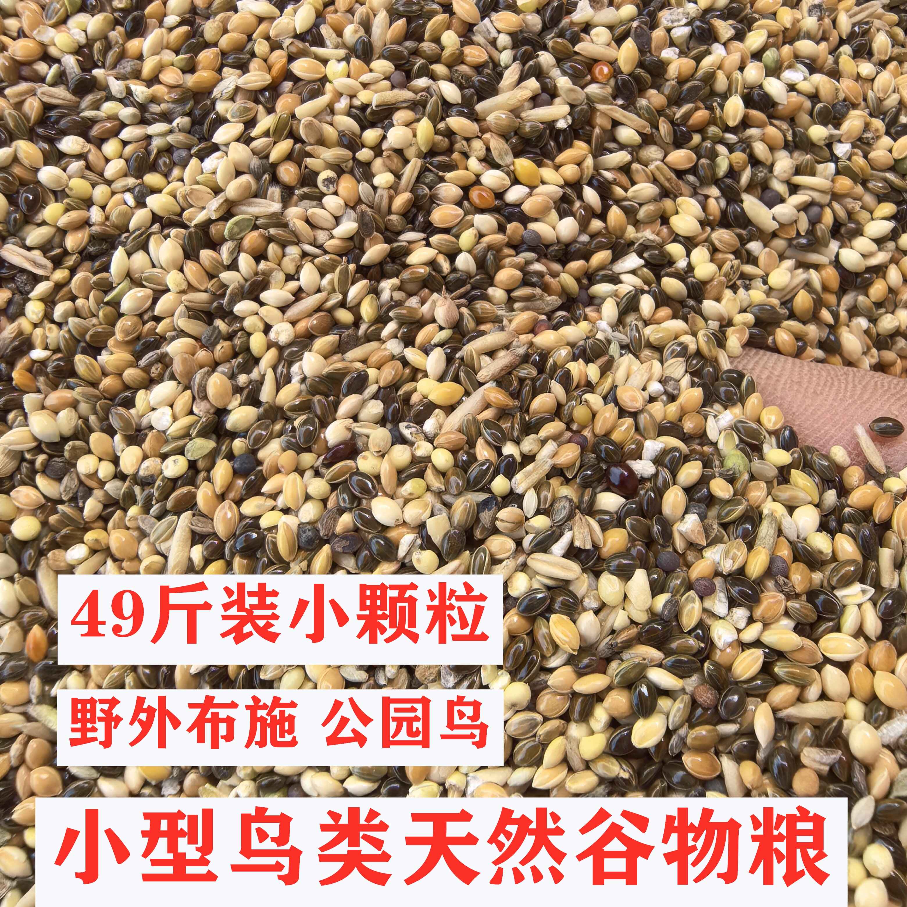 美顿宝鹦鹉用小粒混合黍子