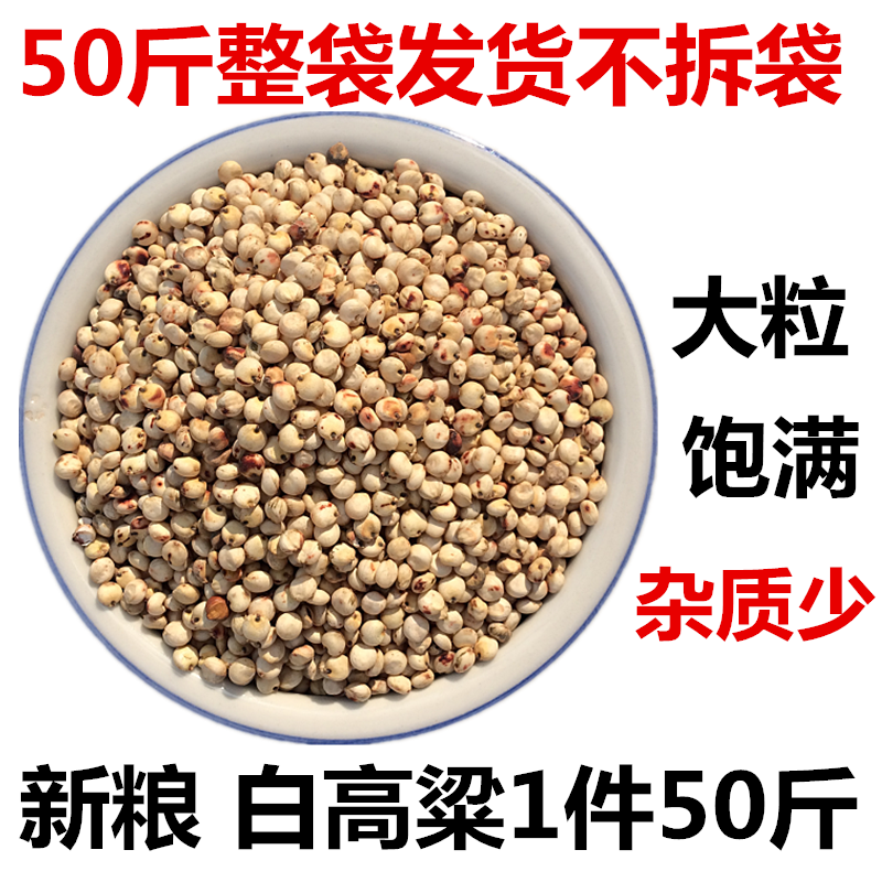 美顿宝带壳白高粱米鸟食