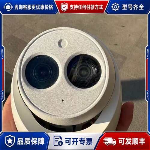 议价大华DH-IPC-HDW1230C-A-V2 半球200万可维修