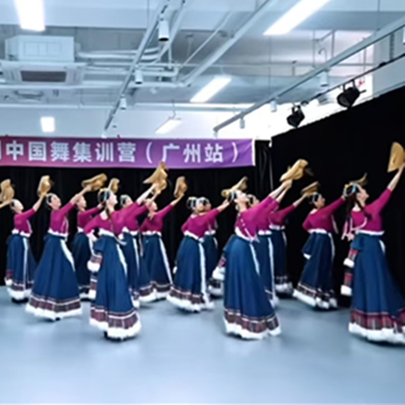 夏辉同款《起舞》群舞藏族舞民族舞演出服艺考拍照写真藏袍大摆裙