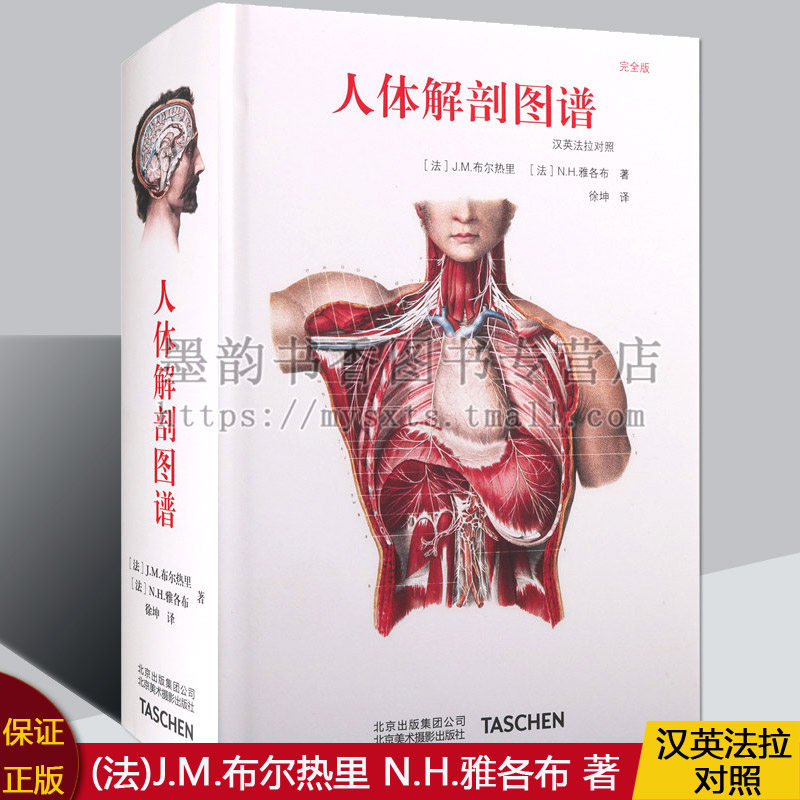 人体解剖图谱-汉英法拉对照 J.M.布尔热里著高清解剖学图谱作品西方医学基础医学人体解剖学人体艺用解剖图鉴中英文北京美术摄影社