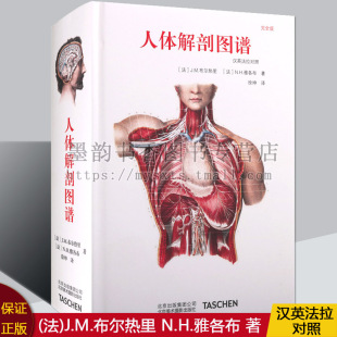 人体解剖图谱 J.M.布尔热里著高清解剖学图谱作品西方医学基础医学人体解剖学人体艺用解剖图鉴中英文北京美术摄影社 汉英法拉对照