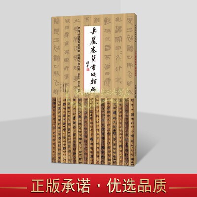 岳麓秦简书迹类编:得之强与弃妻奸案田与市和奸案 中国古代秦朝竹简文字书法帖墨迹秦简牍书法创作临摹范本 河南美术出版社