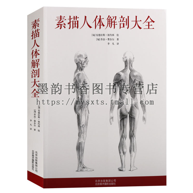 素描人体解剖大全16开本骨骼肌肉系统解剖线条图色书籍素描人体解剖图谱人体解剖学肌肉骨骼解剖结构美术绘画书籍北京美术摄影出版