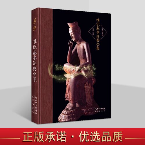 唯识基本论典合集 梅愚选编32开原文唯识论文集典籍读本古籍整理收藏唯识学丛书崇文书局书