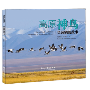 高原神鸟—黑颈鹤的故事 云贵高原黑颈鹤生活研究摄影图集手册 吉祥神鸟 中国国家地址图册 四川美术出版社书籍