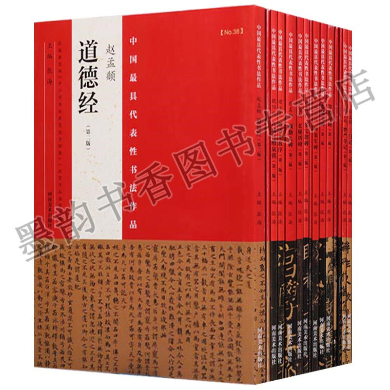 正版中国zui具代表性书法作品-楷书碑帖系列 第二版（共15册）赵孟頫三门记 颜真卿多宝塔碑 柳公权玄秘塔碑 等河南美术出版社
