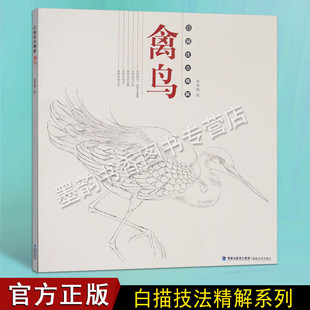 工笔画白描临摹绘画初学者基础教程国画写意草虫禽鸟工笔花鸟画白描底稿线描画芥子园画谱 著 福建美术 张贤明 白描技法精解：禽鸟