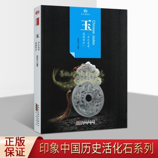 姜莉君著 黄山书社 全新正版 纹饰 纸上博物馆 玉 鉴赏等知识 玉石文化内涵 中国玉石文化 畅销 印象中国 品种 玉器保养 造型