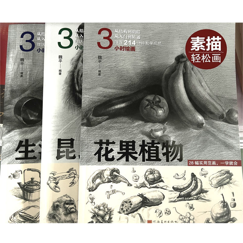 素描轻松画(全套3册)魏平著 素描铅笔画教程画范 基础初级入门临摹画册美术培训班绘画练习书[附视频教学]河南美术出版社的书籍