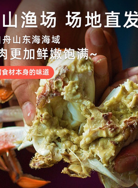 【保鲜不保活】舟山梭子蟹公母特大新鲜野生飞蟹白蟹海蟹螃蟹顺丰