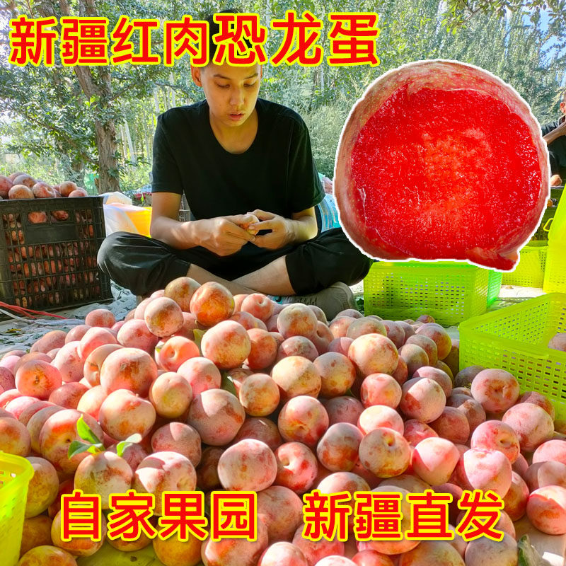 新疆晚熟恐龙蛋红肉风味玫瑰鲜果红布林李子味馨水果新鲜整箱包邮