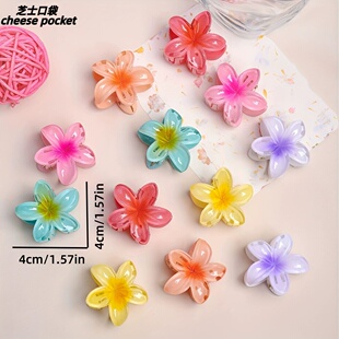 4CM Hair Claw Clip & Accessory 女士海边度假风小抓夹精美夹子