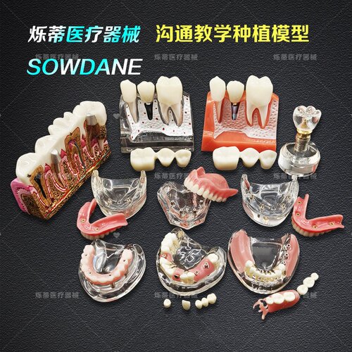 牙科模型教学齿科种植
