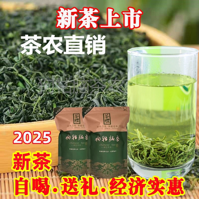 2025江西狗牯脑茶散装特级春茶
