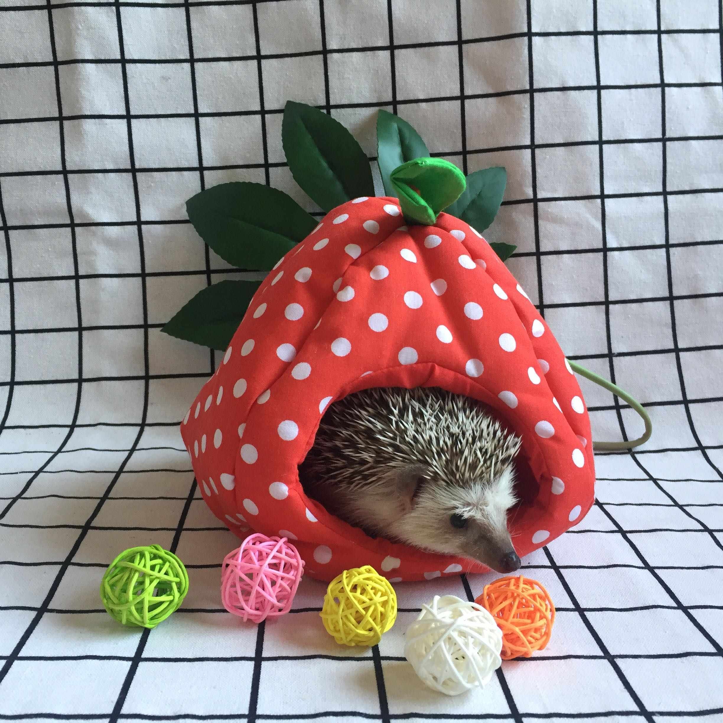 包邮非洲迷你刺猬棉窝保暖屋子仓鼠窝金丝熊冬季睡觉花枝鼠保温屋,宠物/宠物食品及用品,窝,淘宝优惠券,粉丝福利购,淘宝优惠卷