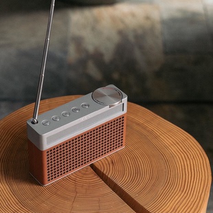 Geneva Touring S+ 吉年瓦兰户外便携蓝牙音箱移动FM收音机