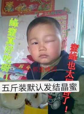 2500g吉林集安小郭东北黑蜂椴树蜂蜜成熟原蜜长白山雪蜜结晶白蜜